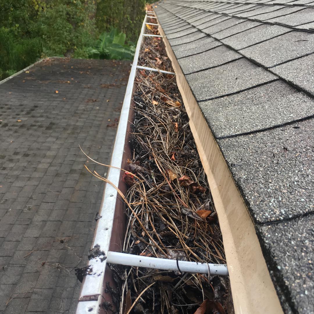 Gutter Cleaning