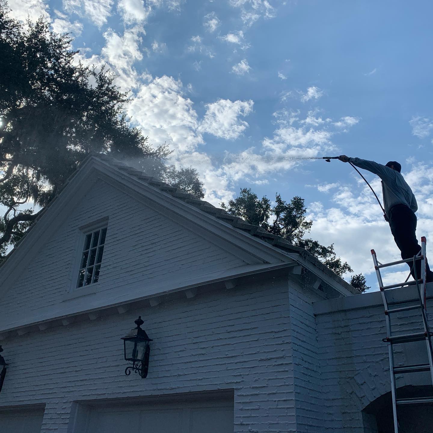 Roof Cleaning